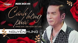 Nguyễn Hưng - Cánh Hồng Phai | Music Box #51