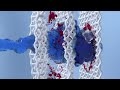 Liquid Detergent Washing Powder 3D Animation Video Ad 91 9871556009 91 9873350605 2