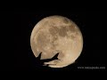 Let na mesiac (knx) - Známka: 4, váha: obrovská