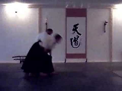 Tendoryu-Aikido at Seishinkan Dojo