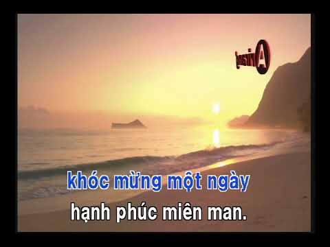 TÌNH TỰ MÙA XUÂN   TỪ CÔNG PHỤNG   karaoke Nhac Xuan