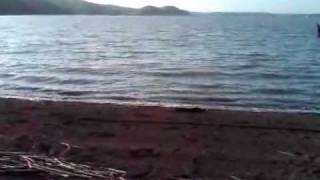 Tommy Walker ♪ When I Don't Know What To Do