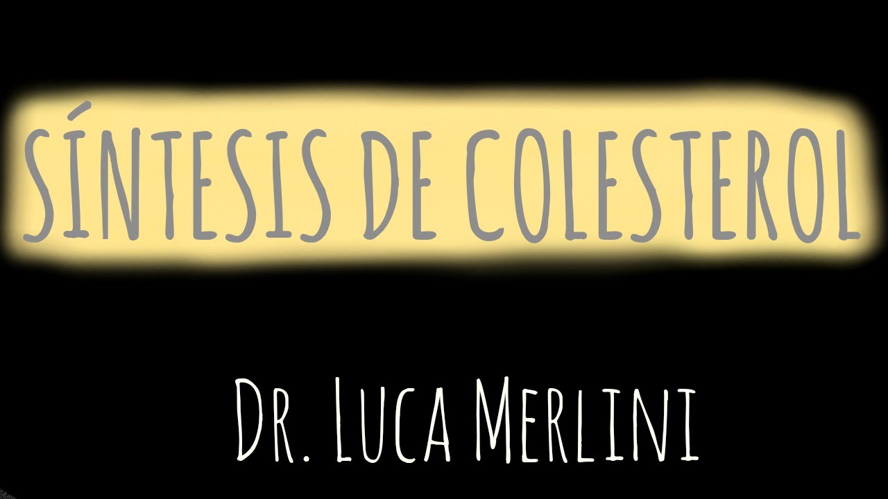 Síntesis de Colesterol