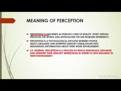 PSYCHO ANALYTIC THEORY OF PERSONALITY ORGANIZATION BEHAVIOR