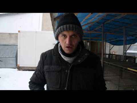 Drama lui "Fernando de Darabani"