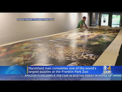 Man Completes One Of World's Largest Puzzles At Franklin Park Zoo