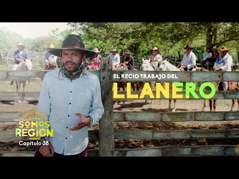 Somos Región: El recio trabajo del llanero