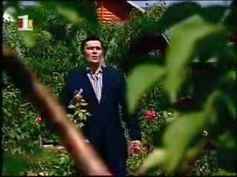 Shkodran Tolaj -eja te lutem eja-