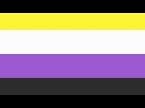 Subtle Non Binary Flag