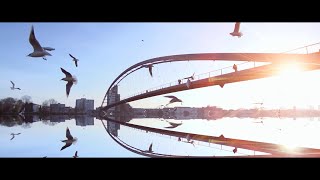 The Rough Puppies - Still Life (Live) [Official Music Video] #The3rdBand