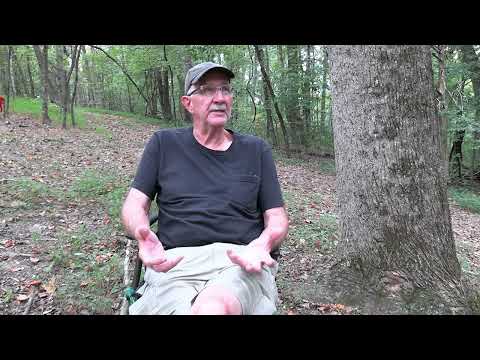 Are Red Dots on Pistols Just Trendy?