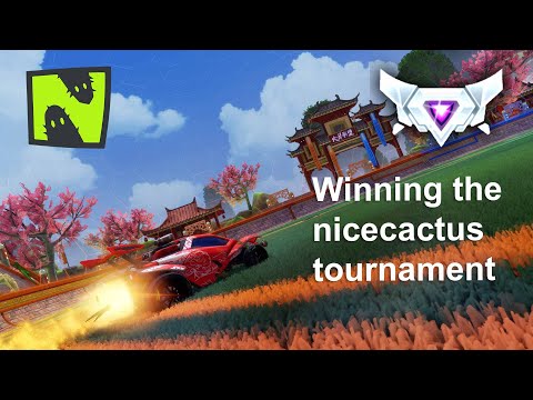 "Playing And Winning Nicecactus Tournament I Insane Redirect I SSL Gameplay"