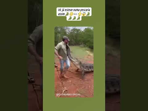 Você já esteve numa pescaria como essa🐊😱😂😃🫪👀😳🐊🐊😱