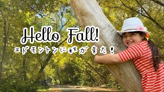 Hello Fall!! エドモントンに秋が来たよ