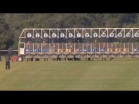 CARIOCA - EAST CAPE BREEDERS STAKES (Listed)