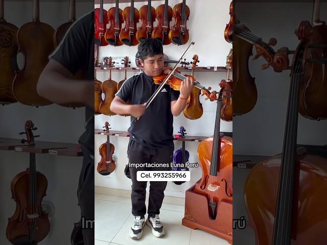 Vídeo relacionado con Alasum Báculo de Violín 1/10 para Práctica, Crin de Caballo, Sándalo Rojo, Tamaño 43-45 Cm, Color Marrón, Accesorio para Violines Infantiles y Principiantes