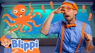 Download lagu Blippi Visits The Sensory Aquarium 🐠 Blippi Learns Senses with Fish | Blippi Full Episodes mp3