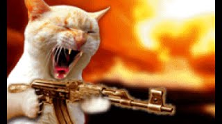 preview picture of video 'Calmando a tu gato: Feliway, Calming spray, Rescue Remedy'