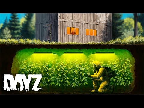 Building a HIDDEN Lab Operation! - DayZ