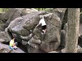 Bubblegum Face (V0) - Haycock Bouldering: Hangar 18 (Main Area)