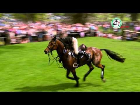 2016 Cross Country day moments