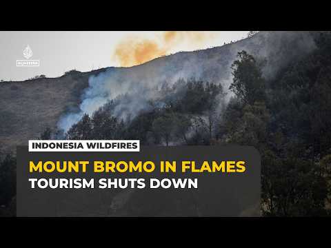 Mount Bromo in Flames: East Java Wildfires Threaten Livelihoods