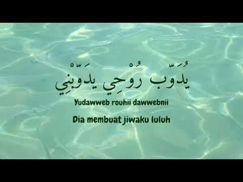 El Watar El Hassas الوتر الحسا س   Sherine latin   lirik & terjemahan #viral #fyp