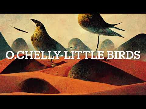 O.Chelly-Little Birds