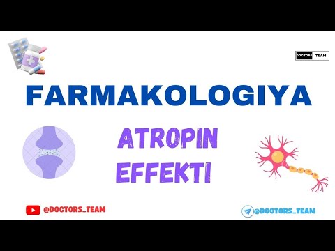 🖇Farmakologiya.  Atropinning ta'sir effektlari.