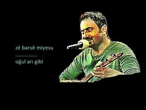 Mikail Aslan   Miraz