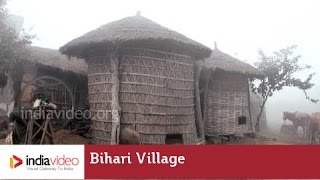 Cool Morning in a Bihari Village