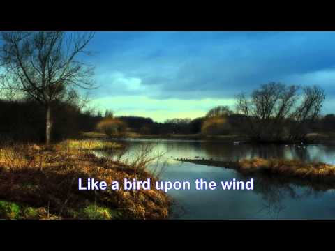 The River - Karaoke Instrumental (Garth Brooks)