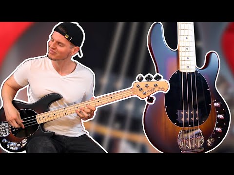STERLING by MUSIC MAN - This Affordable STINGRAY ROCKS!!! (Quick Demo)