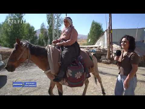 BORDER - SUMAN VILLAGE / COLEMERG