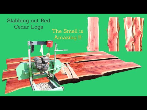 Sawmill Slabbing out Aromatic Red Cedar Logs !! The Smell is Amazing !!