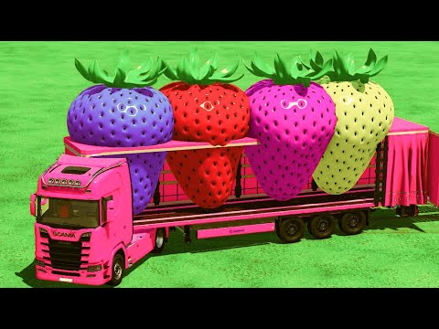 TRANSPORTING COLORED STRAWBERRIES & SUPERCARS with MAN TRUCK - Farming Simulator 22