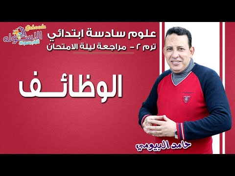 علوم سادسة ابتدائي 2019 | مراجعة ليلة الامتحان - الوظائف | تيرم 2 | الاسكوله