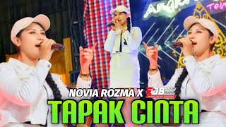 Download lagu TAPAK CINTA ( Cover  ) - NOVIA ROZMA X EDB PRO - ANGKRINGAN TEH ITA mp3