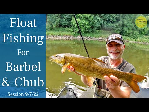 Fishing The River Wye - Stick Float Fishing For Barbel & Chub - 9/7/22 (Video 332)