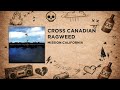 Cross Canadian Ragweed - Cry Lonely