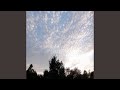 Early Spring Waltz