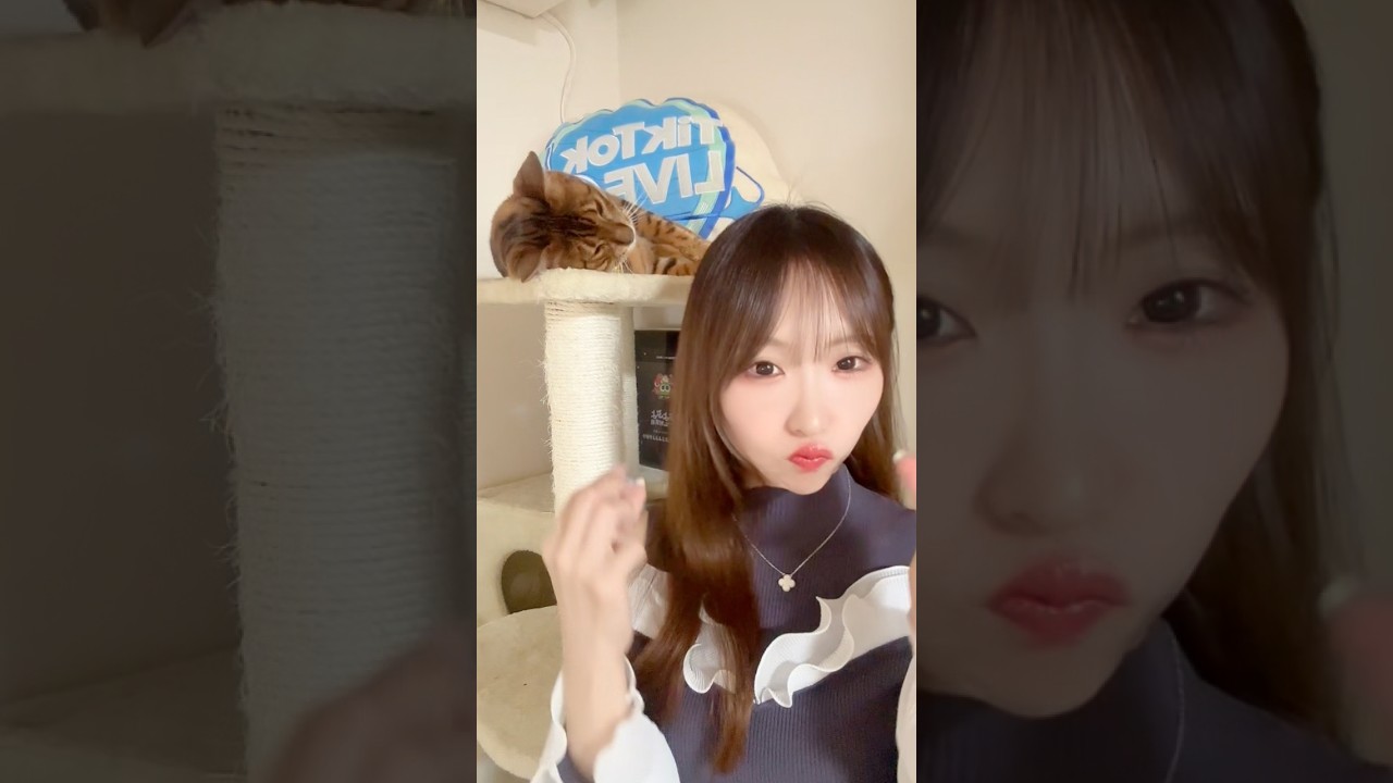 ニコは頑張らない💛  #にゃんたまhouse