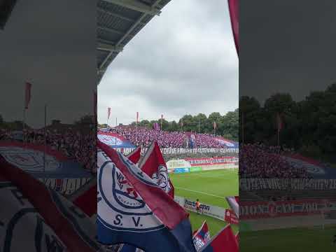 Choreo 70 Jahre Wuppertaler SV vs. Rot Weiß Oberhausen #wuppertalersv #wuppertal #oberhausen