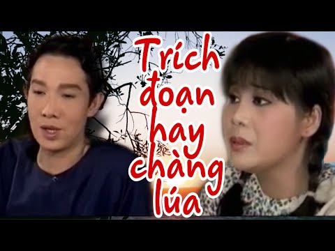 Trích đoạn hay Chàng lúa | Vũ Linh | Tài Linh