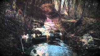 Pitbull Home invasion Prevention!! Amazing!!