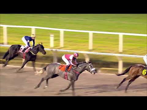 220703 c11 HEY FAMOUS (BRZ)