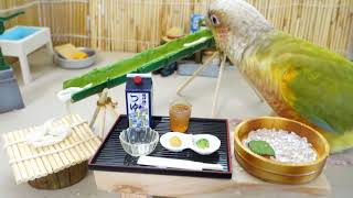 2018 07021   ウロコのがっちゃん　夏の思い出　食べ物編