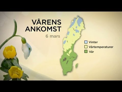 Meteorologen om den rekordtidiga våren - Nyhetsmorgon (TV4)