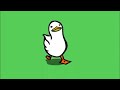 Duck Goes For A Walk 10h