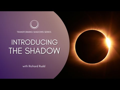 Introducing the Shadow